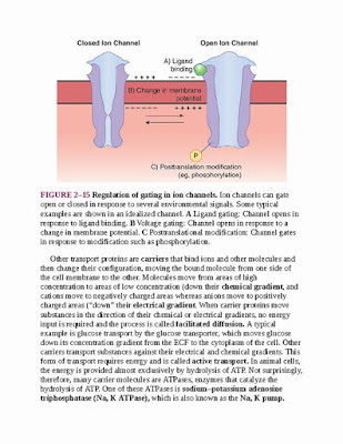 Ganong's Review of Medical Physiology 26th Edition