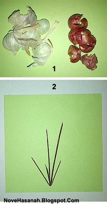 Prakarya Bunga  dari  Kulit Bawang