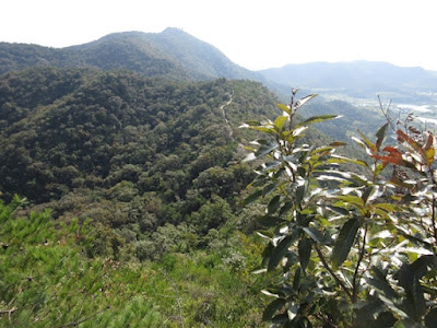 桶居山分岐