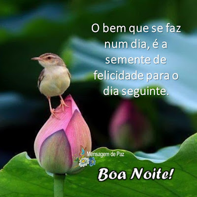 O bem que se faz num dia,   é a semente de felicidade  para o dia seguinte.  Boa Noite!