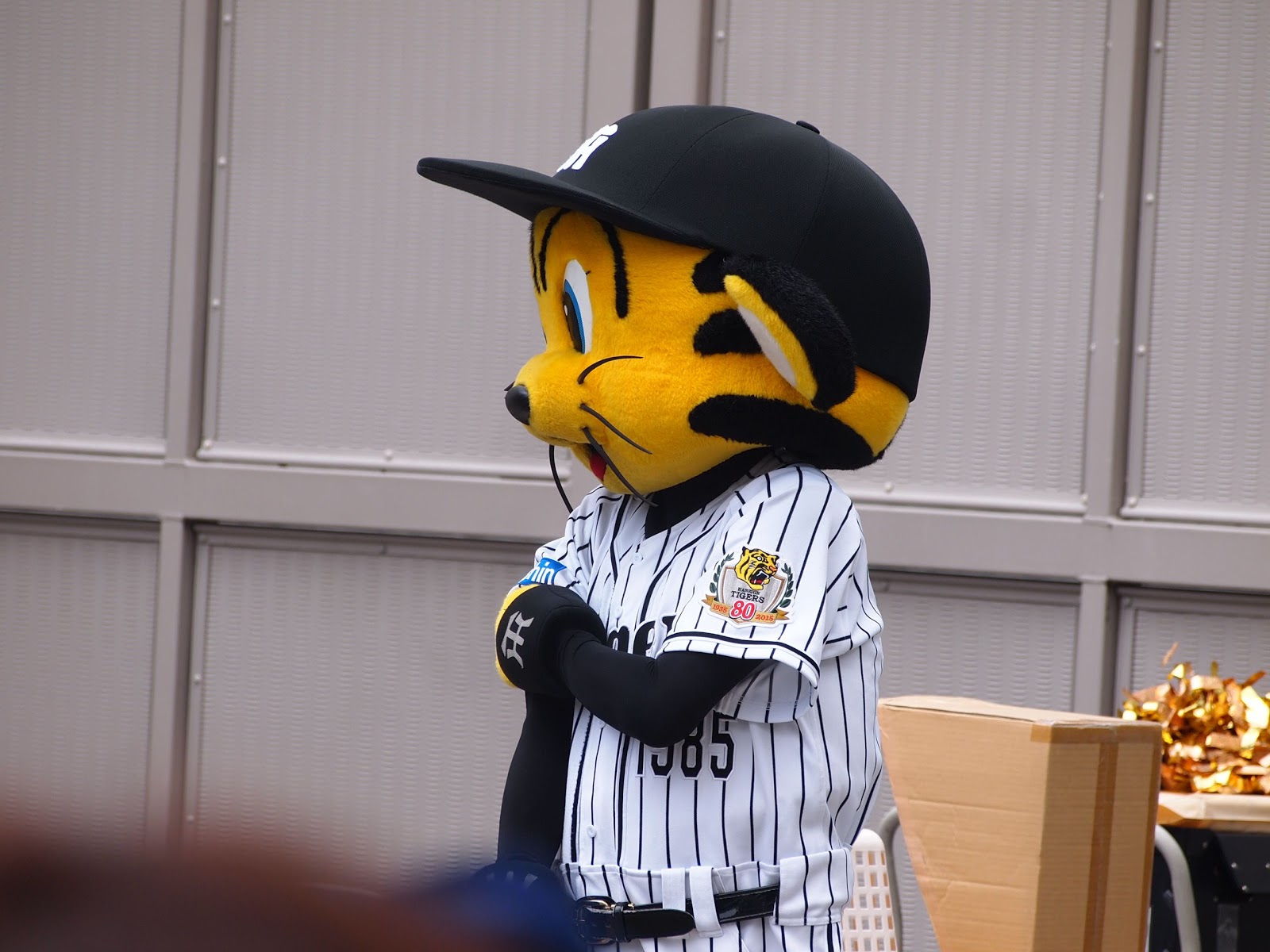 甲子園に行ってきました 6 21阪神 ヤクルト戦 つば九郎 野球まとめに自信ニキ