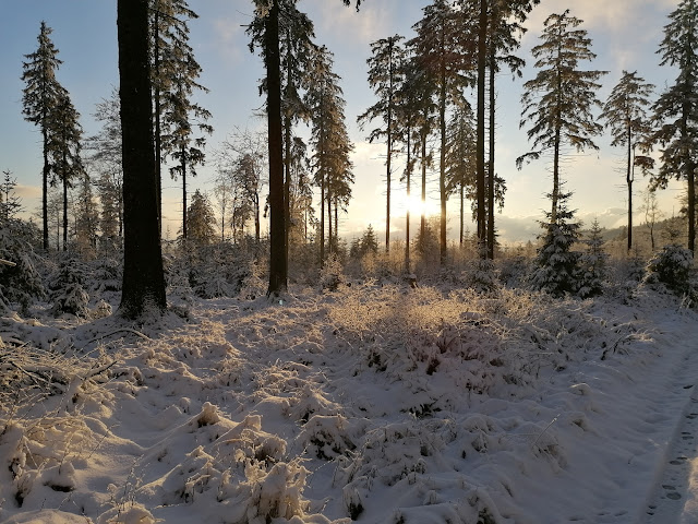 Sauerland wandern Wetter blog Schmallenberg X10 Wilhelm-Münker-Weg X25 Hunauweg X14 Astenweg Höhenflug Hunau