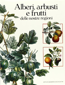 Alberi, arbusti e frutti delle nostre regioni