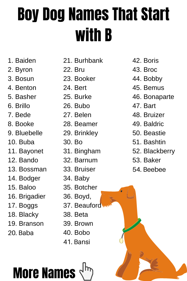 Dog Names That Start With B For Girl And Boy Dog Your Hop