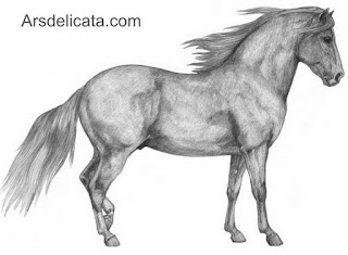 Dibujos Caballos Cuerpo Completo