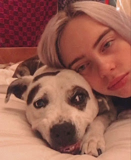 Pepper, la perra de la infancia de Billie Eilish, cruza el puente del arcoíris a los 15 años