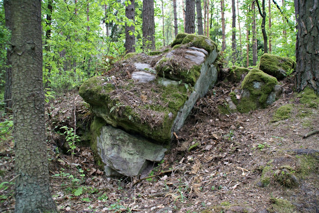 Diabelski Kamień w Radomicach 3