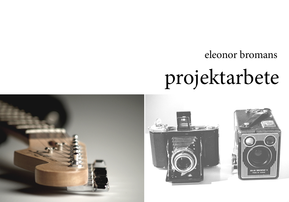 Projektarbete 2009/2010