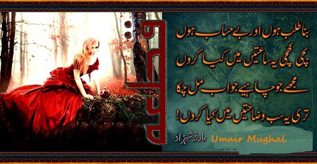 Teri sabb wazaahatein mein kiya karoon Urdu Shayari