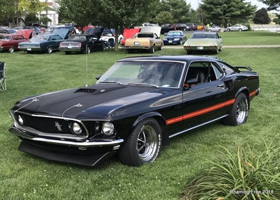 Mustang