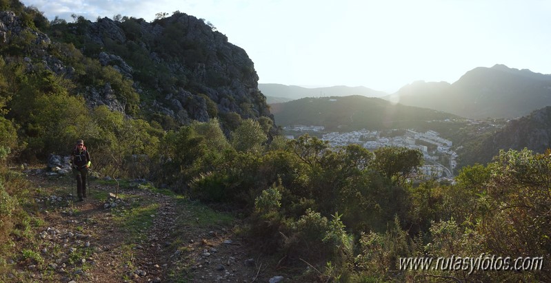 El Cintillo - Sierra Baja de Ubrique - Paso del Bombo - Ubrique - Cañada de los Pernales