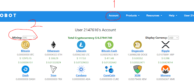 Mining Eobot