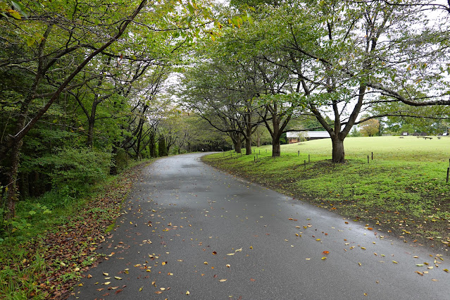 鳥取県西伯郡南部町鶴田　とっとり花回廊