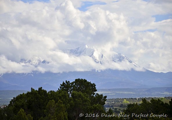 Near Alamosa