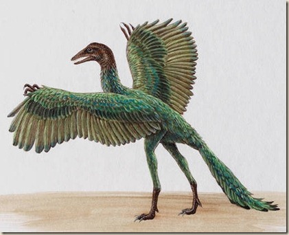 archaeopteryx
