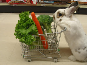 funny animal pictures, bunny shopping