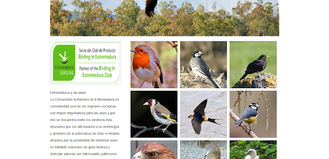 https://www.cijaramagicosl.es/birding