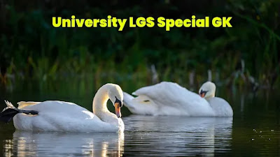 university LGS Special Class