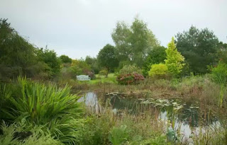 Large pond at River Barn