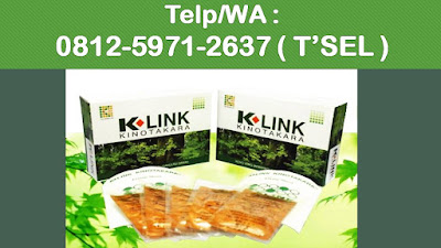 Kinotakara, Kinotakara K-Link, Produk K-Link Kino, K-Link Kino