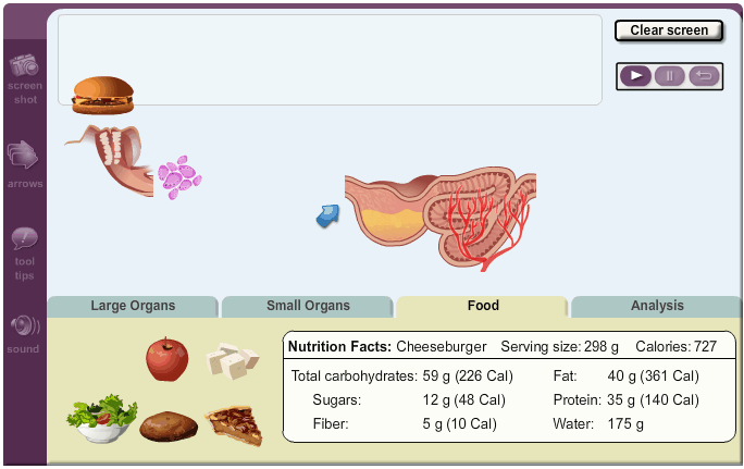 Digestive system gizmo answer key pdf : Switch On Learning Two Great New Gizmos