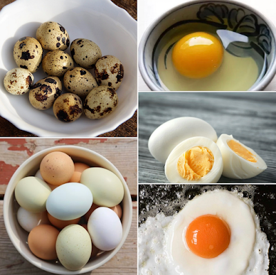 add this complete whole food to your dog and cat's diet, how to include eggs in your dog and cat's diet, serving recommendations, recipes and more