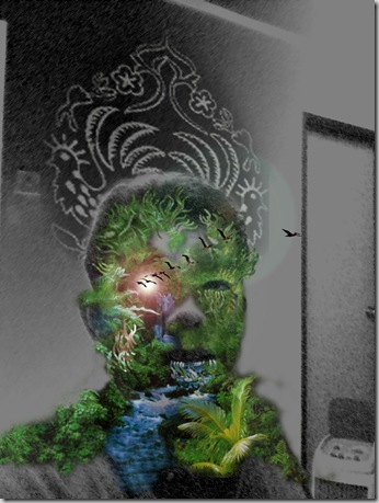facemap2 copy