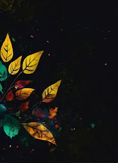 خلفيات سوداء