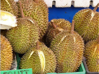 ... Artikel Penelitian Ilmiah: Contoh Penelitian Tentang Buah Durian