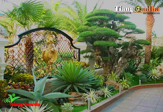 tukang taman kebayoran baru dan jasa taman kebayoran baru jakarta selatan