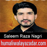 https://humaliwalaazadar.blogspot.com/2019/09/saleem-raza-nagri-nohay-2020.html