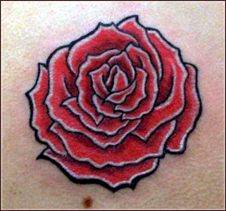 Rose Originated Tattoos 3 tatto rose