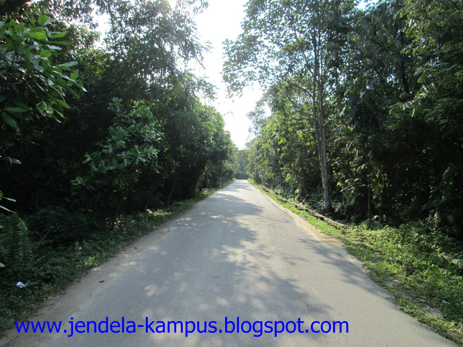 FOTO: Islamic Center dan Rektorat UIN Suska Riau ~ JENDELA ...