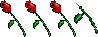 3.5roses.7aW99YxWRY0l.jpg