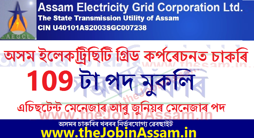 AEGCL Recruitment 2023 – 109 Assistant Manager & Junior Manager Vacancy