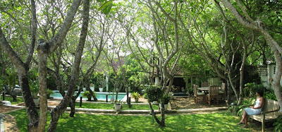 sun house hotel galle sri lanka frangipani grove pool seated woman