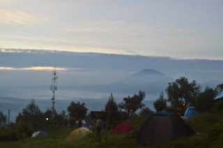 Tempat Wisata Alam Camp Mawar di Bandungan