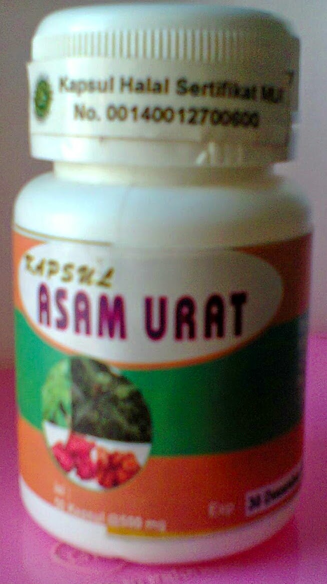  Asam urat