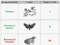 Rantai Makanan Dan Jaring-Jaring Makanan-Biologi Kelas X SMA-MA