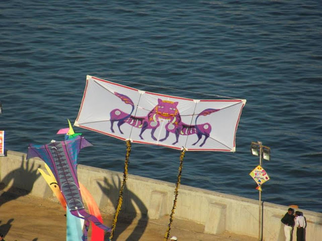 International Kite Festival 2011 - Ahmedabad, India