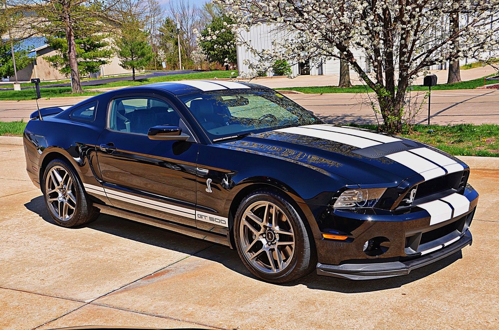 2013 Ford Mustang Shelby GT500 ~ For Sale American Muscle Cars
