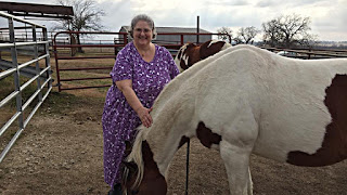 Elaine and Apache