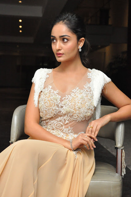 Tridha Choudhury Hot Picture At Manasuku Nachindi Movie Press Meet