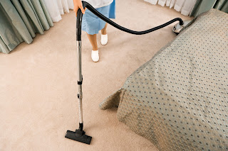 carpet cleaning business,professional cleaning