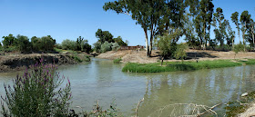 Riberas restauradas del Salado de Caulina(agosto 2011)