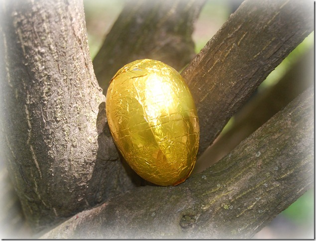 goldenegg