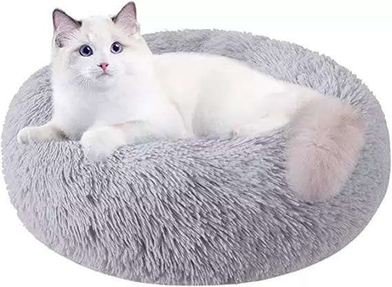 Sleep Like Royalty: Top 10 Best Cat Beds