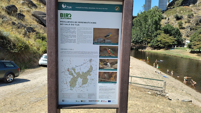 Percursos de birdwatching do vale do Tua