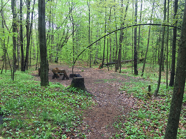 Campsite 6 at Newport State Park