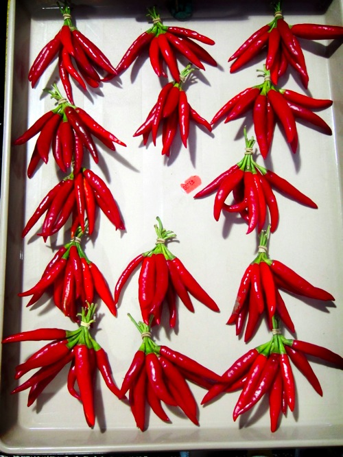 Chilli